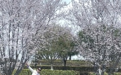 荡翁浪媳在公车上做